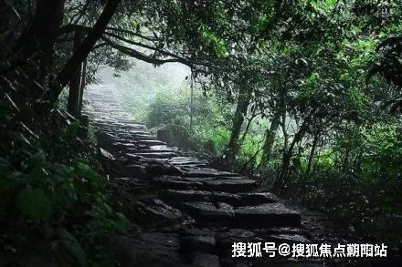 必一体育青山湖2024官方售楼处青山湖24小时热线电话(图5)