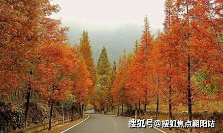 必一体育青山湖2024官方售楼处青山湖24小时热线电话(图6)