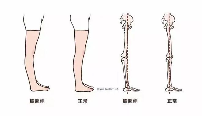 必一体育没想到每天几分钟打卡一个月收获这么大！(图15)